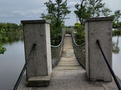 -杭州湾海上花田景区