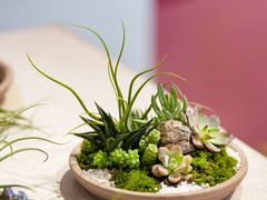 -LV路易威登(国际广场店)