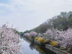 -元大都城垣遗址公园