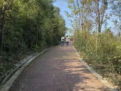 -桃花岭景区