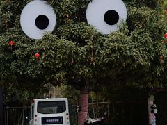 -武汉紫薇都市田园