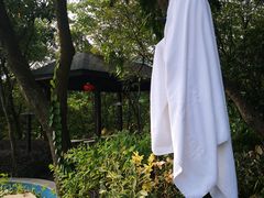 -汤山温泉房车营地 茶温泉