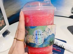 -野萃山·潮汕厚果汁(十亩地店)