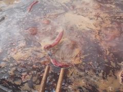 -星鸿社重庆老火锅