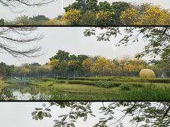-顺峰山公园