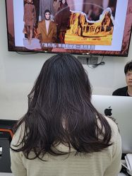 -YESIDO椰岛造型