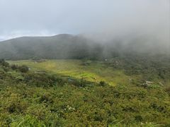 -大围山国家森林公园