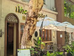 -Uncle Kosto科斯托·中东菜