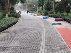 -龙头寺公园