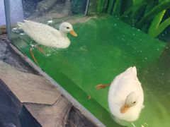 -长春中泰海洋世界