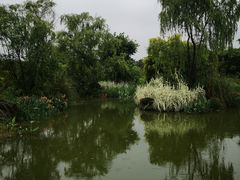 -张坝桂圆林公园
