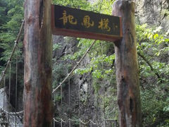-牛背梁国家森林公园