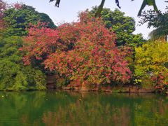 -甘家界牌柠檬鸭(青山店)