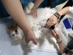 -美联众合动物医院·24h转诊中心