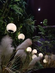 点击看大图 -花隐·美芙炫海菲秀皮肤管理中心