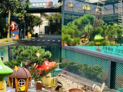 -佛冈森波拉度假区