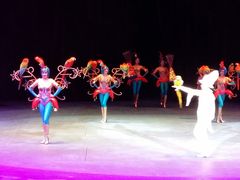 -珠海横琴长隆《卡卡虎奇遇记》