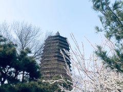 -玲珑塔公园