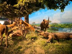 -国家自然博物馆