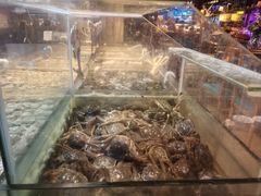 -领鲜活海鲜榴莲自助火锅(东门店)