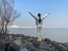 -上海吴淞炮台湾国家湿地公园