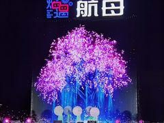 -泰达航母主题公园