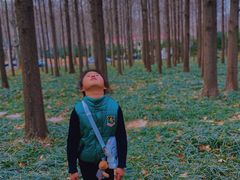 -河南省黄河迎宾馆