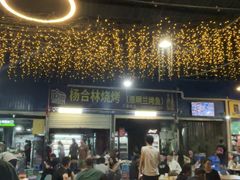 -杨合林啊兰烤鱼
