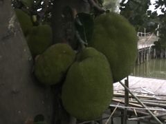 -邹记·美食(斗门店)