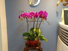 -精德口腔·种植修复·儿牙中心(财富中心店)