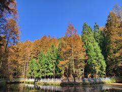 -山王坪喀斯特国家生态公园