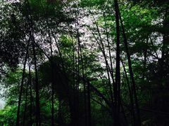 -东天目山风景区