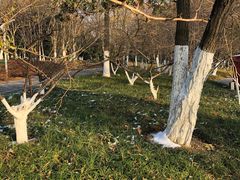 -天鹅湖体育公园