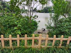 -南通濠河风景名胜区