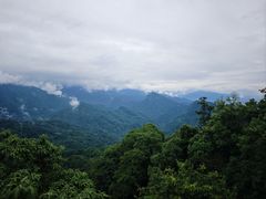 -青城山