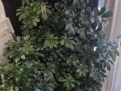 -陈熹公民族美食文化餐厅(中华广场店)