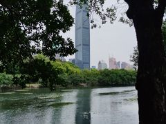 -荔枝公园(福田区)