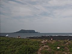 -涉地可支