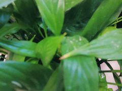 -德克士信之义(信源商厦店)