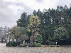 -成田山新胜寺