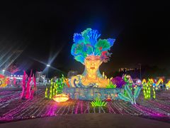 -三亚海昌梦幻海洋不夜城