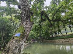-桂林灵渠景区