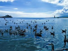 -青海湖国家重点风景名胜区