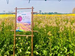 -中国天府农业博览园