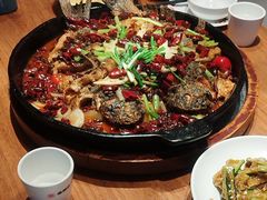 -老板恋上鱼(恒隆广场店)