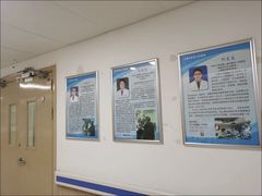 -上海市第四人民医院