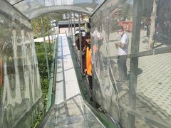 -威海华夏城景区