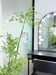 点击看大图 -班柠美妆·化妆私教(汉中路店)