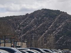 -何适山庄 ·可团建(水长城P2停车场店)