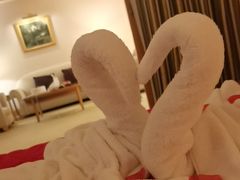 -南京维景国际大酒店(南京博物院店)